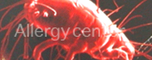 acariens acariens